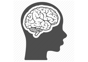 See You at the Toews Behavioral Portfolio Design Workshop