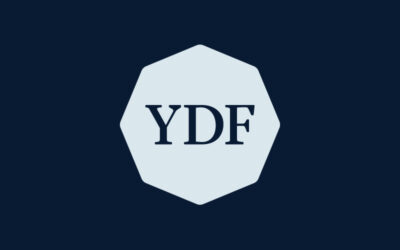 Portfolio Strategies for a Bear Market