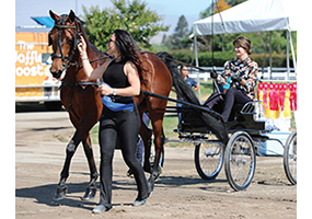 Marrying Passion & Purpose: Tax-Smart Charitable Planning Strategies for Equestrians